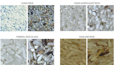 良質および適正価格の米は選別機機械を着色します